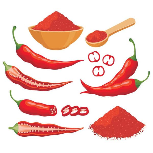 piment chili pepper en poudre