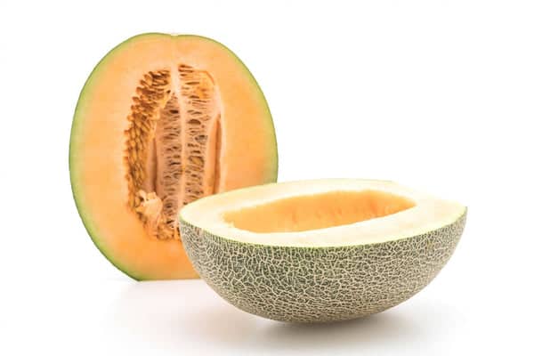 melon