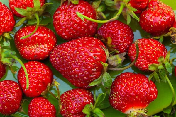 fraises