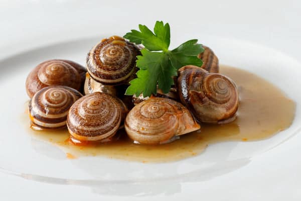 plat d'escargots cuit